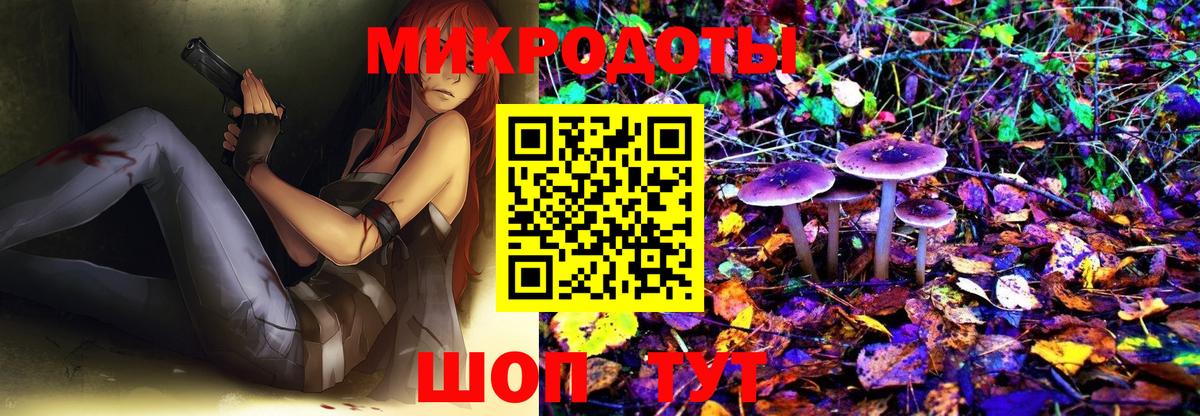 Псилоцибиновые грибы Psilocybe  Вход с VPN  Димитровград 